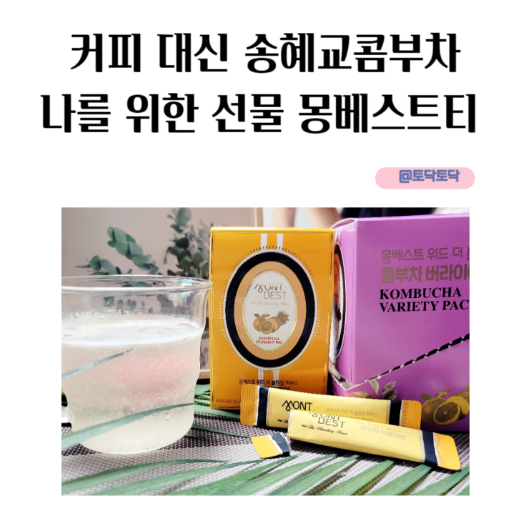 커피 대신 송혜교콤부차나를 위한 선물 몽베스트티 커피 대신 송혜교콤부차나를 위한 선물 몽베스트티