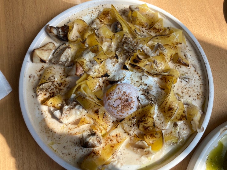  대구 분위기 좋은 생면파스타 맛집 노세콘도