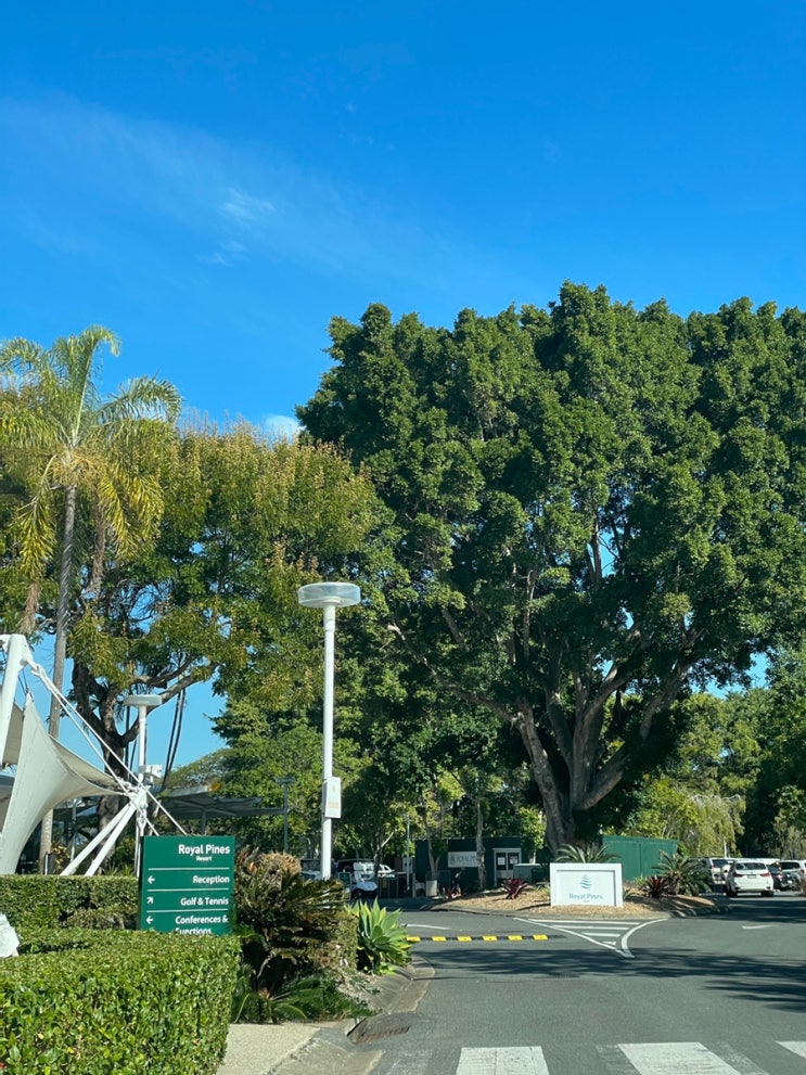  [호주 여행] 호주 PGA 경기가 열리는 브리즈번/골코 RACV Royal pines resort golf course