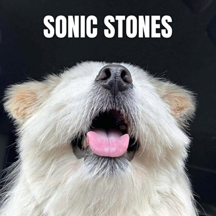 SONIC STONES(소닉스톤즈) - 앞으로가 [노래가사, 듣기, Audio]