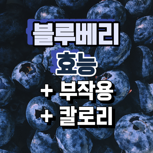  블루베리 효능, 칼로리, 부작용까지 한 번에 정리. (냉동 블루베리와 차이)