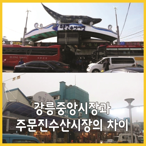  강릉중앙시장과 주문진수산시장의 차이