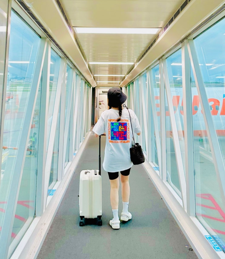  내셔널지오그래픽 N225ASU380 코니 캐리어 18형 아이보리 제주항공  국제선 비행기 기내용 캐리어 추천 (기내 수하물 규격)