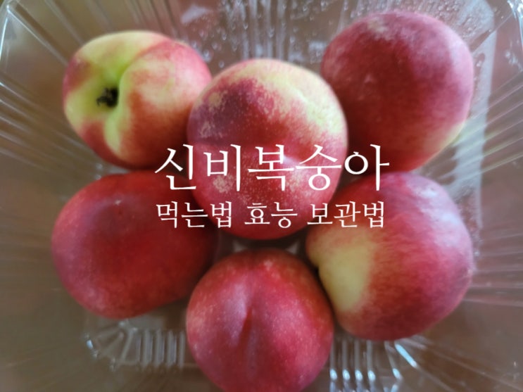 신비복숭아 먹는 법 보관 방법 효능 제철 껍질 (ft. 천도복숭아 비교)