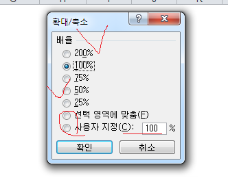 엑셀 화면 확대, 축소하는 다양한 방법!