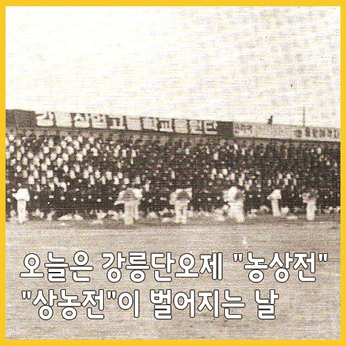  오늘은 강릉단오제 "농상전" "상농전"이 벌어지는 날