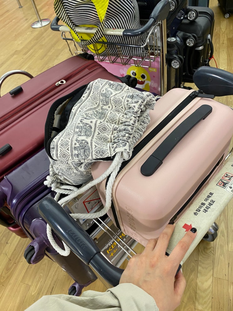  베트남 푸꾸옥 대가족 여행 전 준비사항 꿀팁 (모닝투어, 인천공항 콜밴, 일정 등)