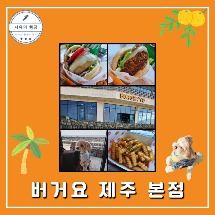 제주도 버거요ㅣ애월 수제 버거 맛집 애견 동반 여행 내돈내산