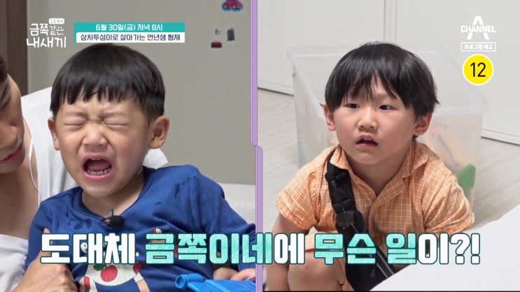 엄마 성인 ADHD 4세 3세 형제 금쪽이 알몸 가출 바닥에 배변 요즘육아 금쪽같은 내새끼 엄마 성인 ADHD 4세 3세 형제 금쪽이 알몸 가출 바닥에 배변 요즘육아 금쪽같은 내새끼