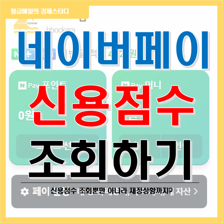  네이버페이로 나의 신용점수 조회 해보기