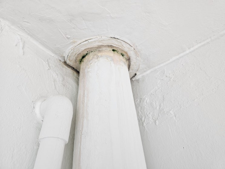 성남 아파트 우수관 누수 - 천장에 물곰팡이가 생긴 이유는?