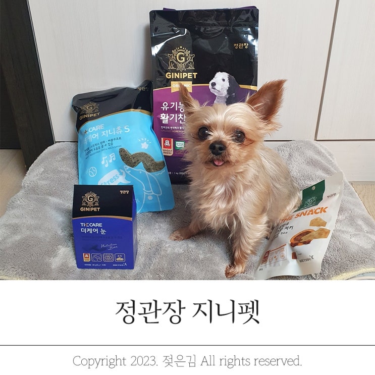 정관장 지니펫 강아지사료 이벤트 놓치지 마세요 정관장 지니펫 강아지사료 이벤트 놓치지 마세요