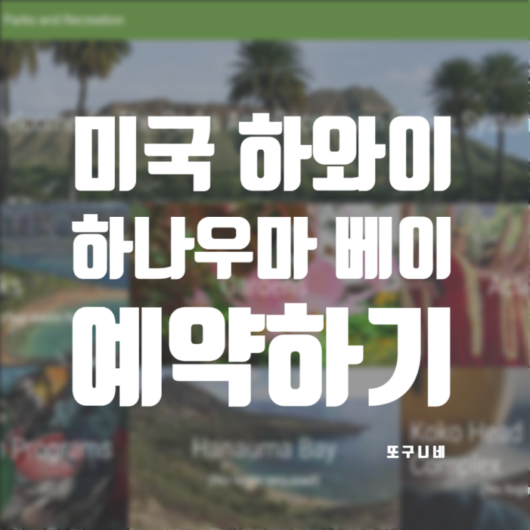  미국 하와이 호놀룰루 여행 - 하나우마베이 예약하는 방법  (예약 사이트, 가격, 주의사항, 예약 후기)