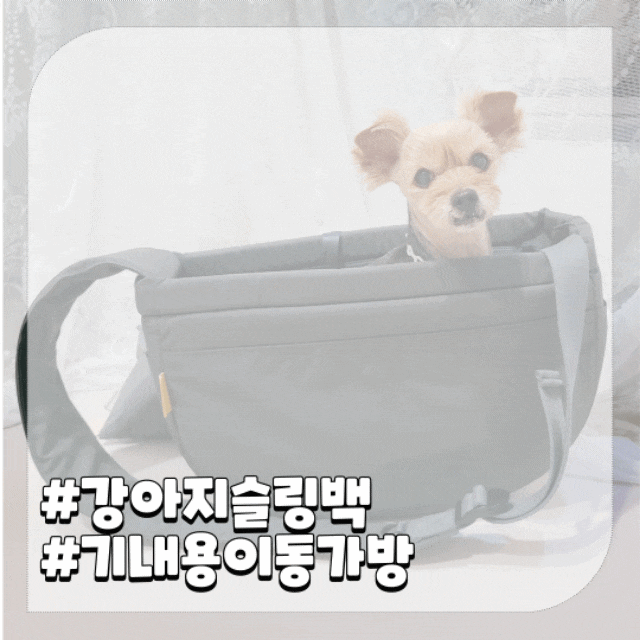  강아지 슬링백 추천 슬개골 걱정없는 리카리카 이동가방 후기