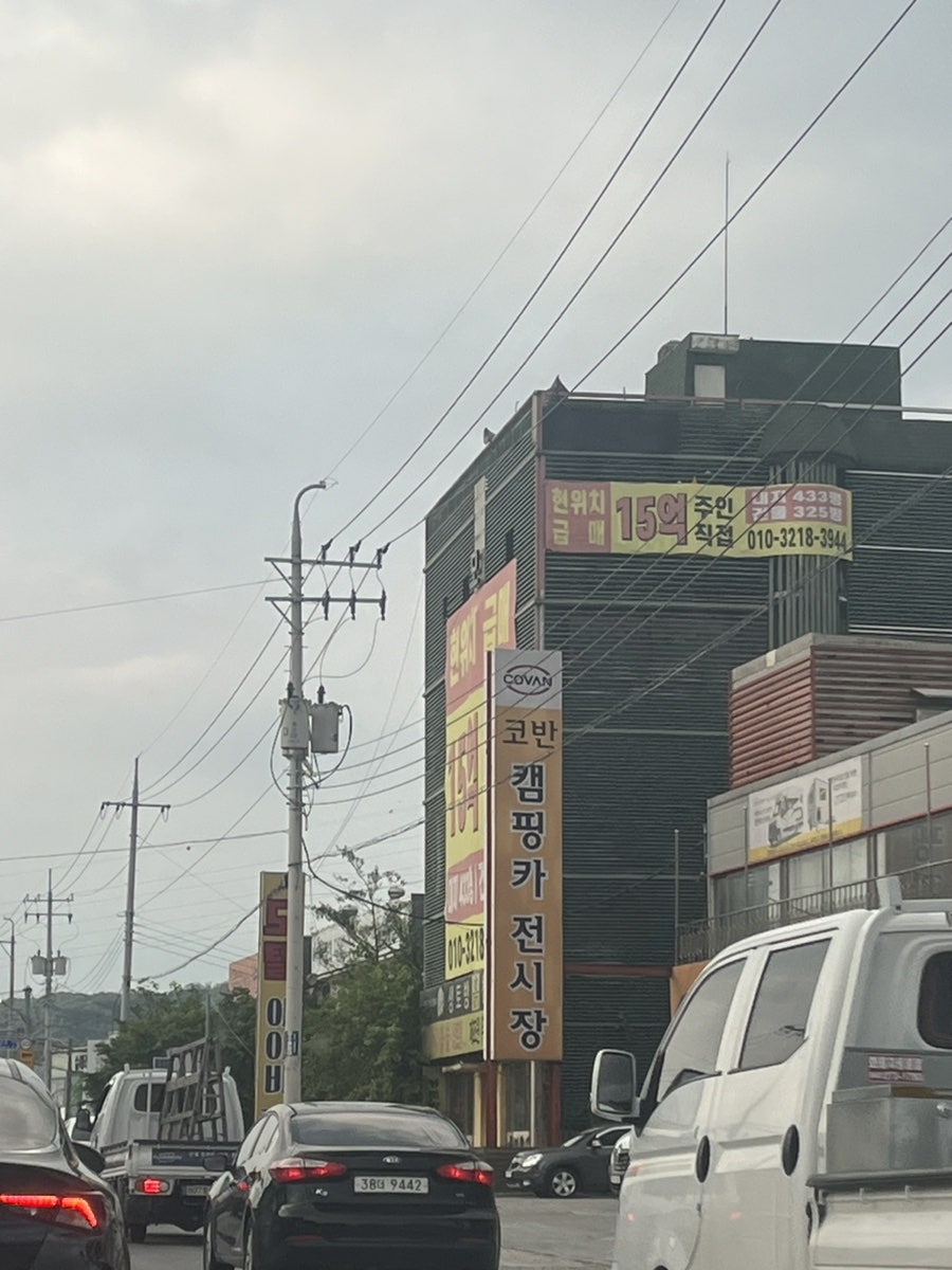 로터슨 사진 3