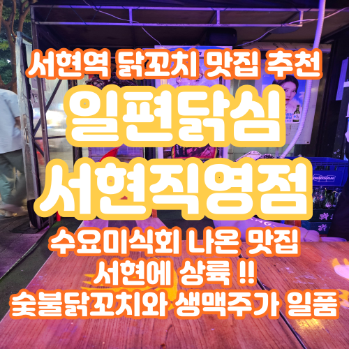  [분당/서현맛집] 일편닭심: 판교에서 유명한 수요미식회 닭꼬치 서현직영점(feat. 야장감성)