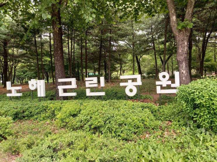 [체크인 챌린지 시즌1] 서울특별시 노원구 노해근린공원(노해체육공원)에서 산책하면서 찍은 사진입니다.