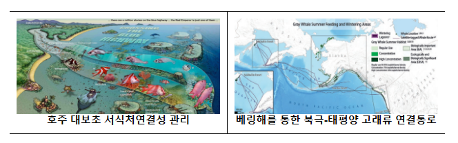 해양생태계 통합 관리 위한 ‘5대 해양생태축 관리계획’ 수립_해양수산부