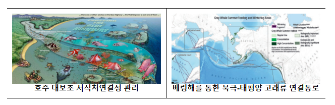 해양생태계 통합 관리 위한 ‘5대 해양생태축 관리계획’ 수립_해양수산부 해양생태계 통합 관리 위한 ‘5대 해양생태축 관리계획’ 수립_해양수산부