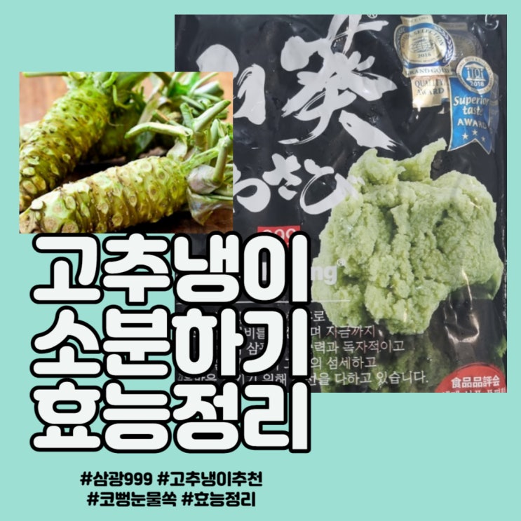  생와사비 추천 - 톡쏘는 매운맛과 깊은맛 '삼광999' 대용량 와사비 소분하기와 효능