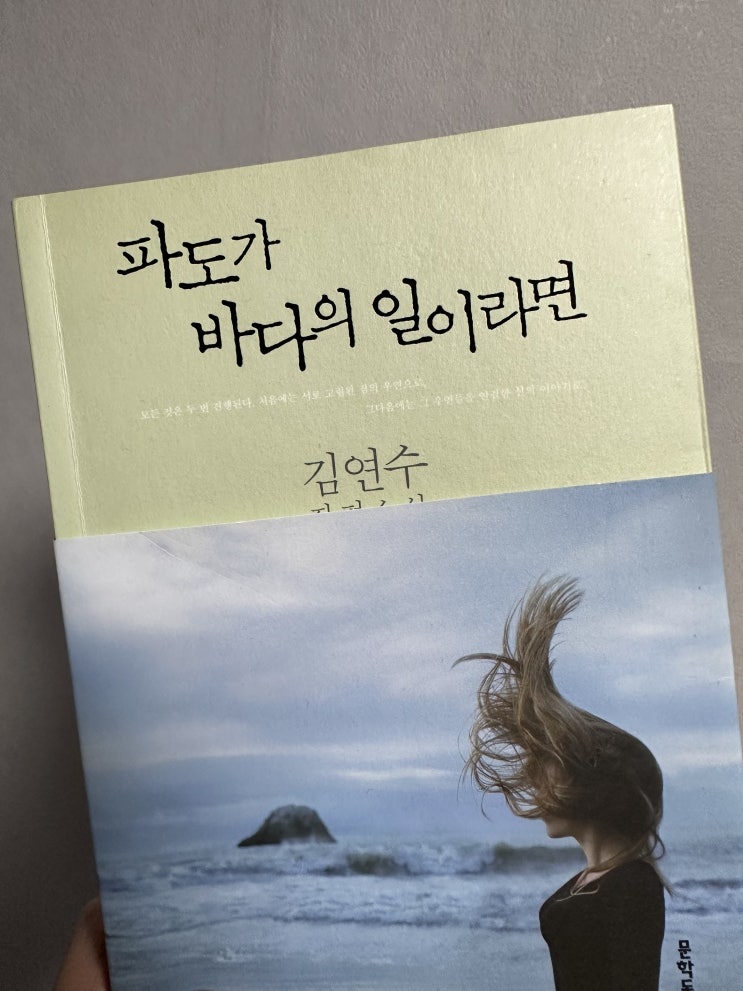  파도가 바다의 일이라면 - 김연수
