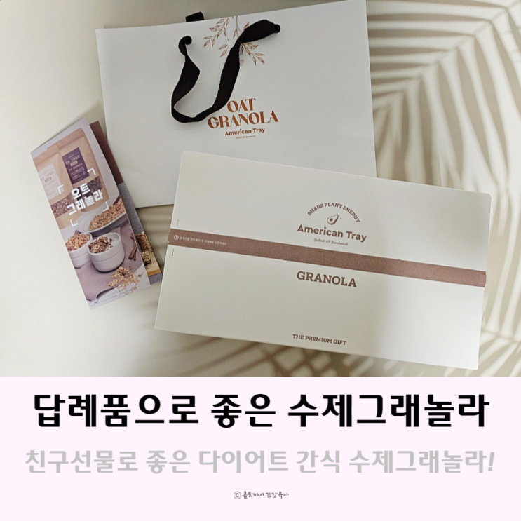 답례품 친구 선물로 좋은 다이어트간식 수제그래놀라 답례품 친구 선물로 좋은 다이어트간식 수제그래놀라