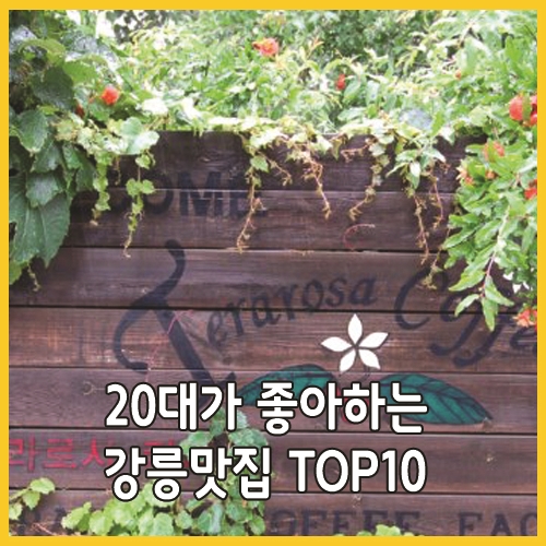  20대가 좋아하는 강릉맛집 TOP10