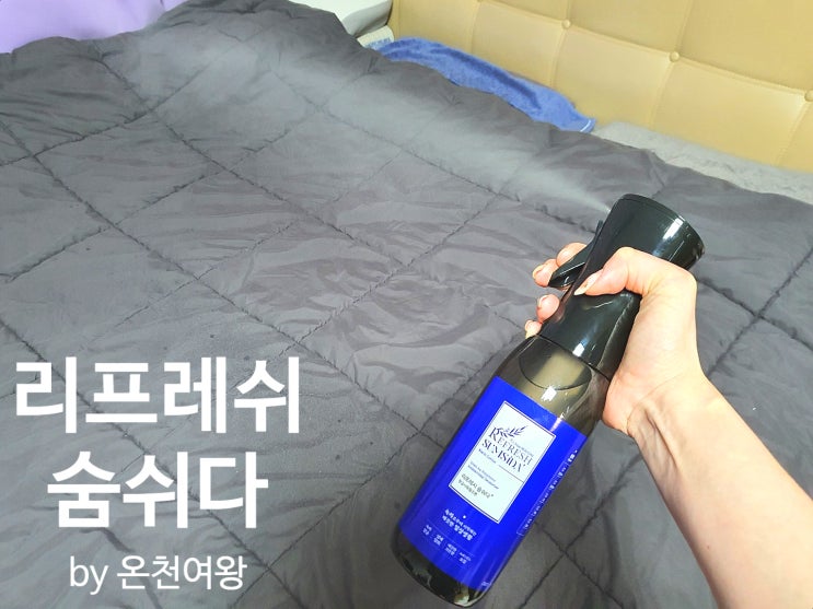 이불, 옷 냄새 관리 <b>탈취제</b> 내돈내산 리얼후기 - <b>리프레쉬</b>숨쉬다