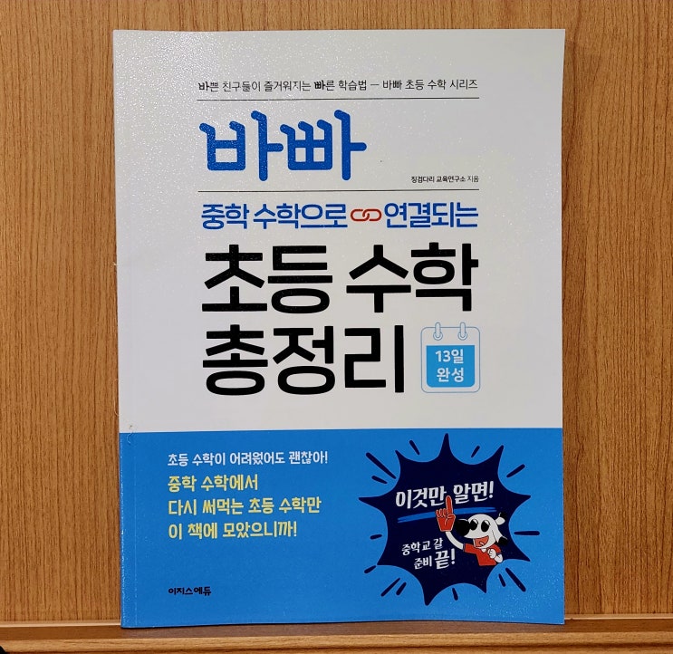 바빠초등수학 중등수학으로 연결되는 초등수학총정리