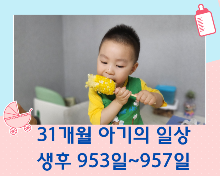  31개월 아기 일상/953일~957일, 초당옥수수, 물고기 카페