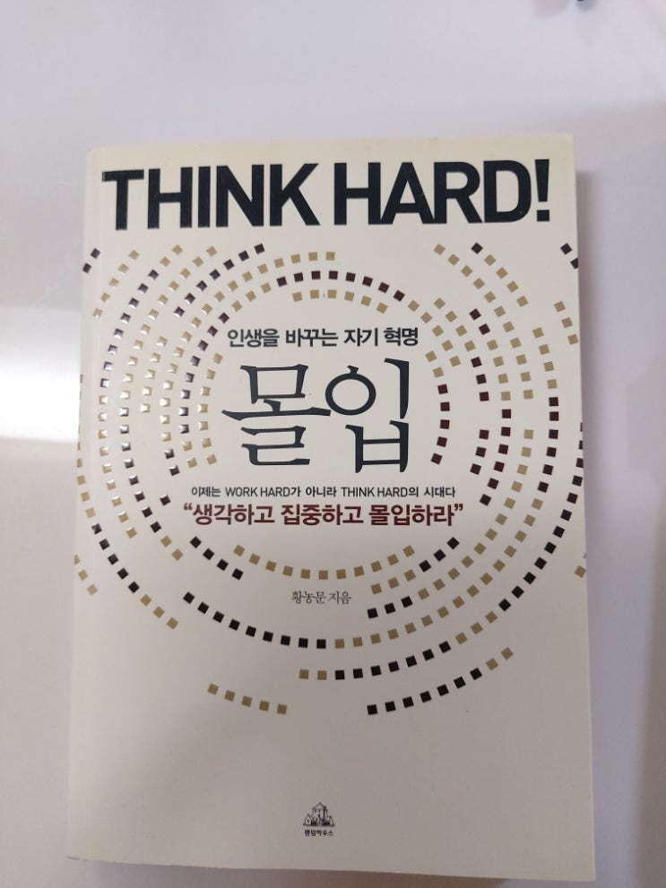 몰입