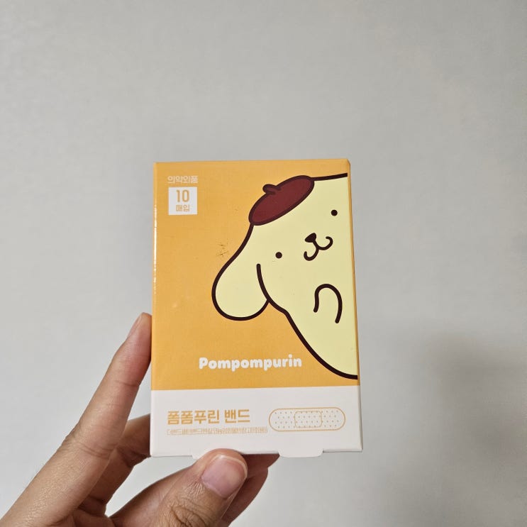 폼폼푸린 밴드 디자인 구경하기 폼폼푸린 밴드 디자인 구경하기