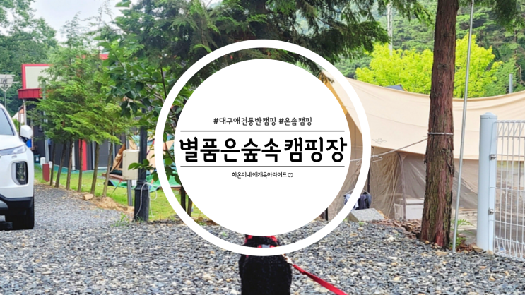  대구 팔공산 애견동반 가능한 별품은숲속캠핑장
