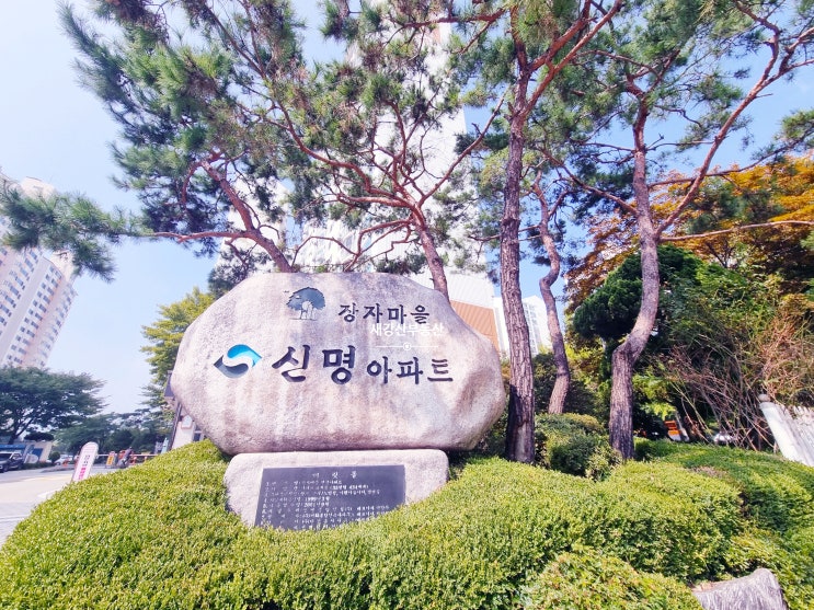  교문동 장자신명APT 전세 5억5천(8호선별내선 초역세권 초품아)