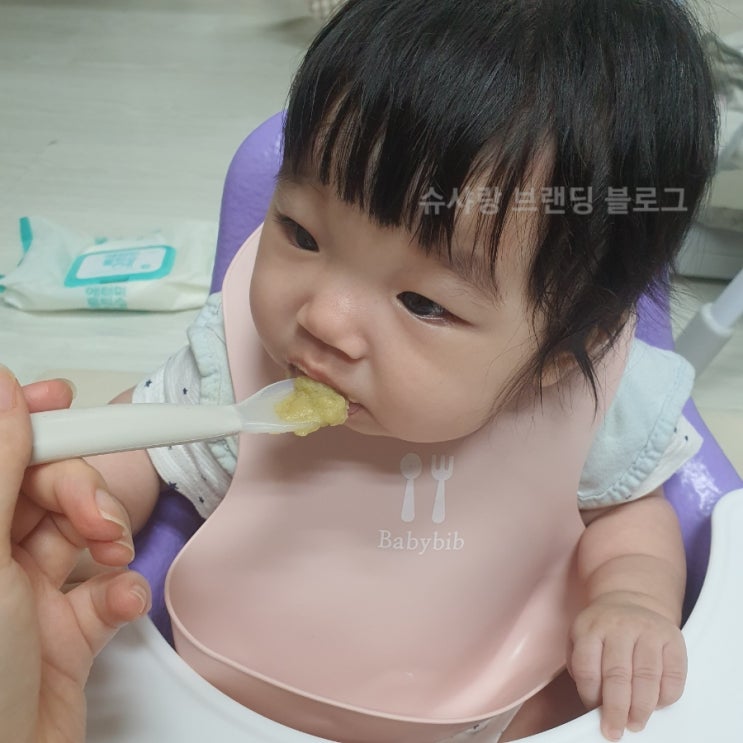  아베크파파 프랑스 수제이유식 초기시판이유식으로 딱!