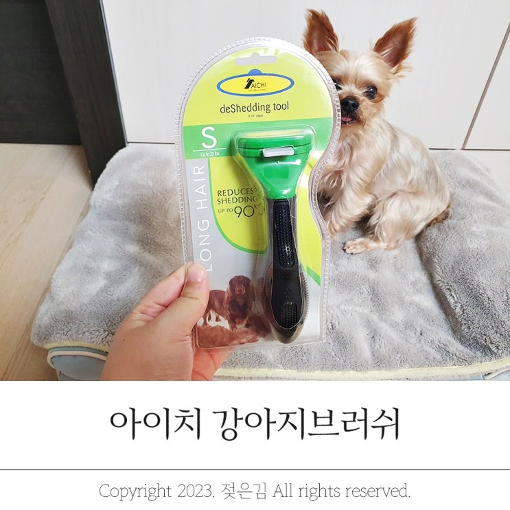 요크셔테리어 강아지브러쉬 처음 사용해봤어요 요크셔테리어 강아지브러쉬 처음 사용해봤어요