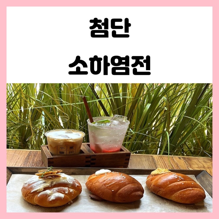첨단 소금빵으로 유명한 광주 소하염전 방문 첨단 소금빵으로 유명한 광주 소하염전 방문