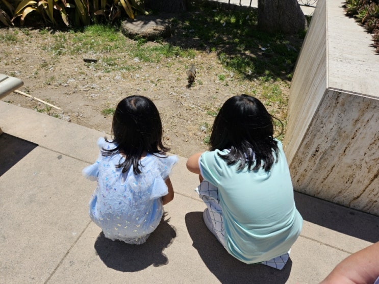  샌디에고 Balboa park 땅콩먹는 다람쥐