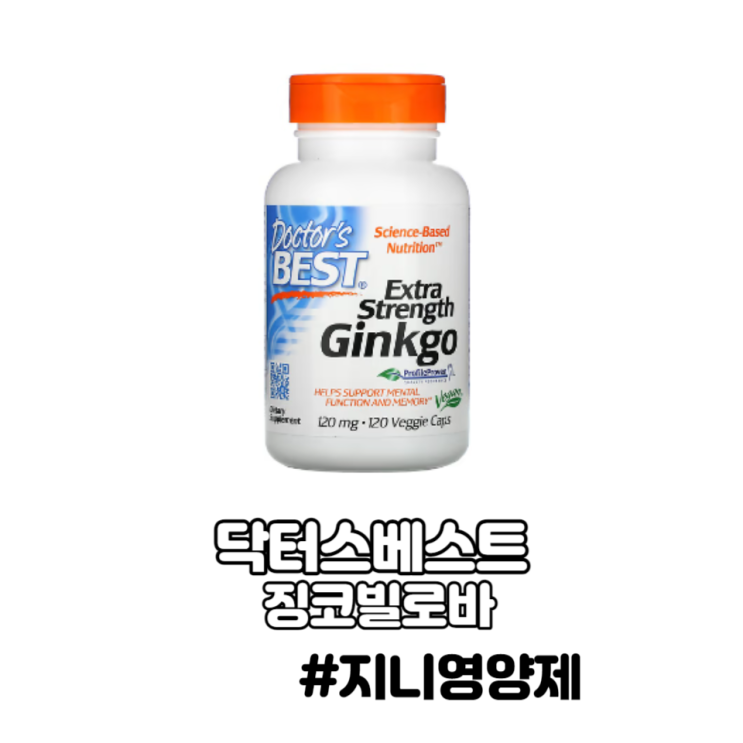 은행잎 추출물(징코 빌로바) 효능 부작용 은행잎 추출물(징코 빌로바) 효능 부작용