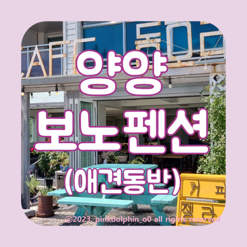 사진 3