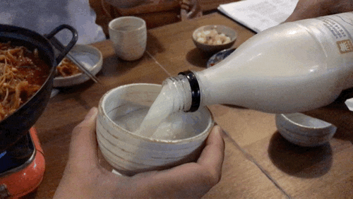  청주 충북대 정문 막걸리 맛집 술집 모이세