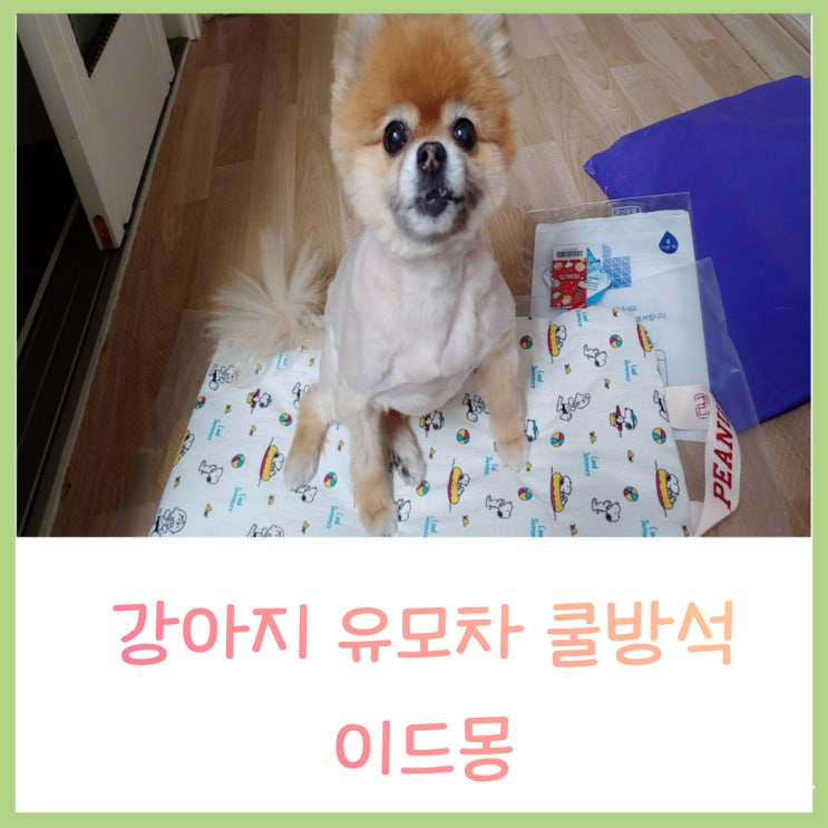  강아지 유모차 쿨방석 이드몽 아이스 방석 여름용 쿠션