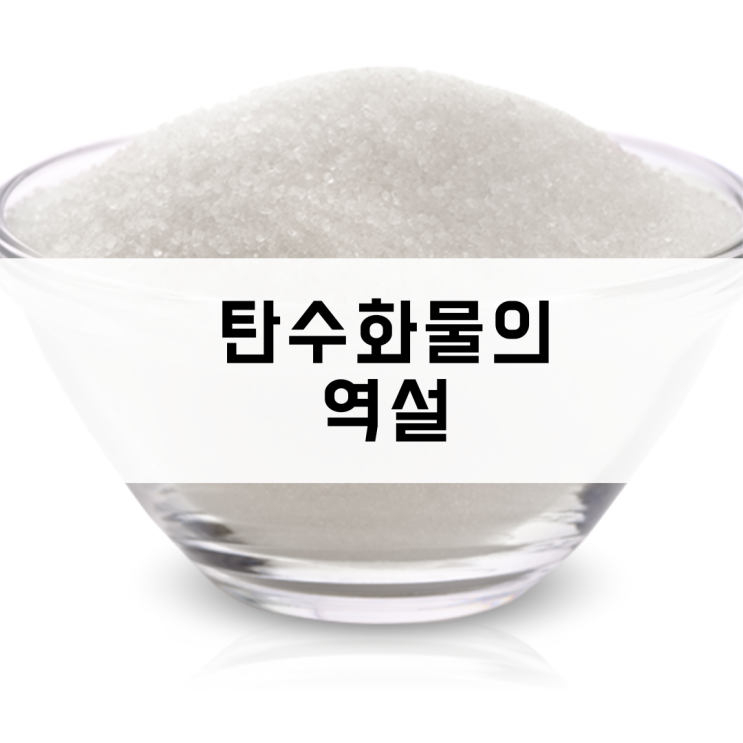 탄수화물 끊기 왜 하세요? 은평구pt
