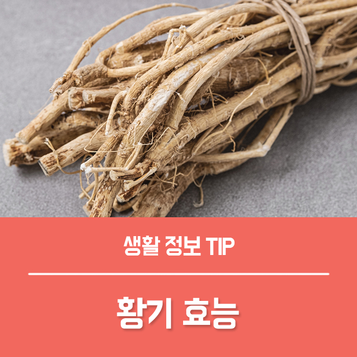 황기 효능 TOP4, 황기차 만들기 끓이기 황기 부작용 총정리!