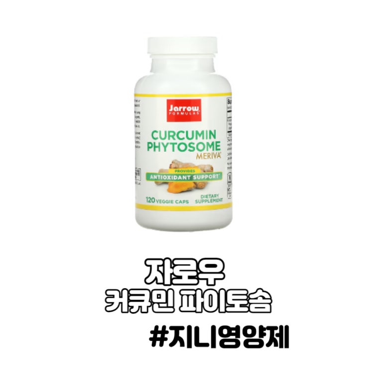 커큐민(강황) 염증 흡수율 복용시간 커큐민(강황) 염증 흡수율 복용시간