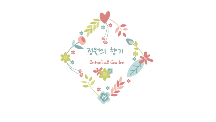 남천 나무 삽목 번식하는 방법 묵은 가지, 상토 오아시스, 가지치기 남천 나무 삽목 번식하는 방법 묵은 가지, 상토 오아시스, 가지치기