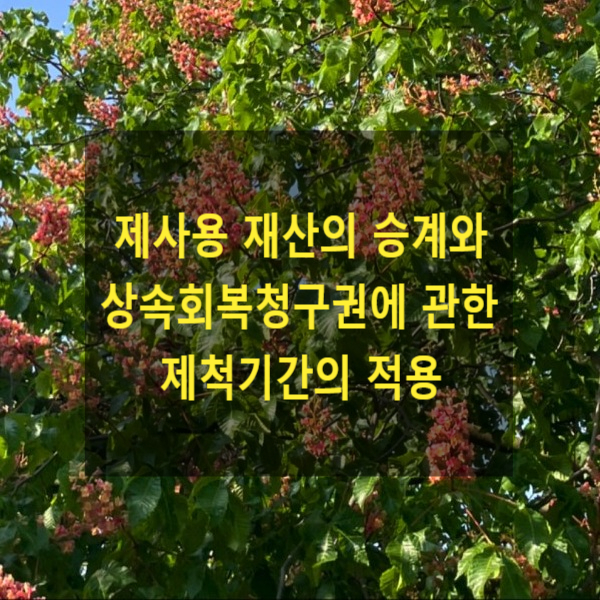  제사용 재산의 승계와 상속회복청구권에 관한 제척기간의 적용