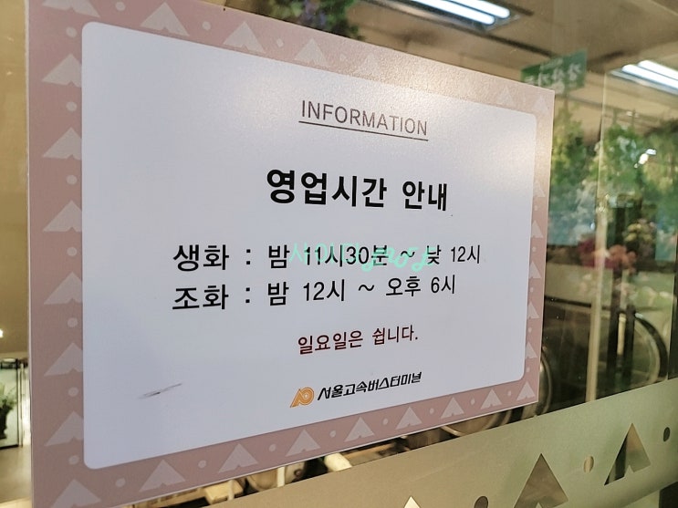 반포 고속버스터미널 꽃시장 방문기 (영업시간주의)