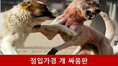 전 정권은 반국가<b>단체</b>, 윤 <b>검찰</b> 쿠테타로 대통령돼