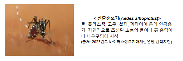 동남아 여행 후에는 검역소에서 뎅기열 검사 받아보세요! 동남아 여행 후에는 검역소에서 뎅기열 검사 받아보세요!